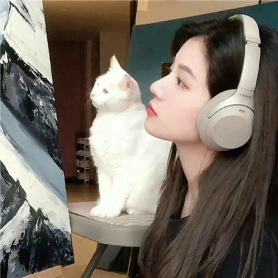 绝望写手第四季