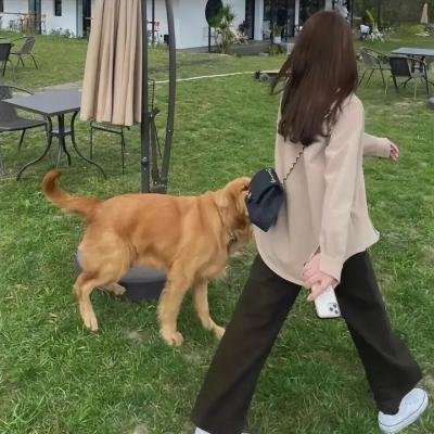 爱上小男人